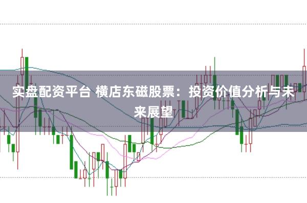 实盘配资平台 横店东磁股票:投资价值分析与未来展望