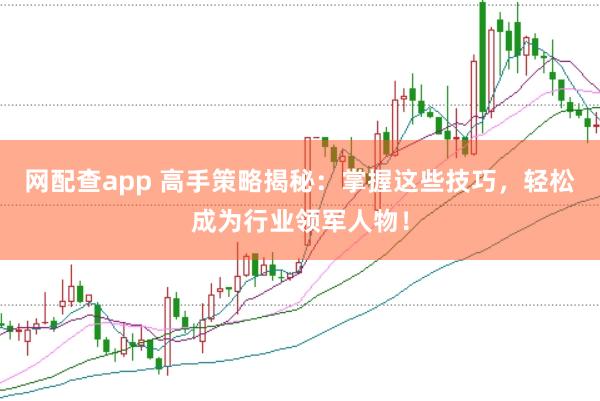 网配查app 高手策略揭秘：掌握这些技巧，轻松成为行业领军人物！