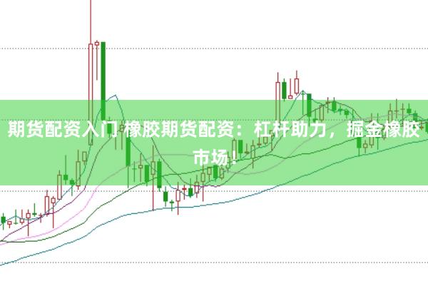 期货配资入门 橡胶期货配资：杠杆助力，掘金橡胶市场！