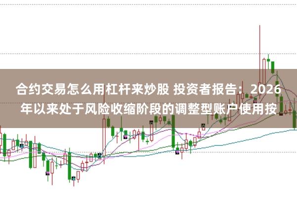 合约交易怎么用杠杆来炒股 投资者报告：2026年以来处于风险收缩阶段的调整型账户使用按