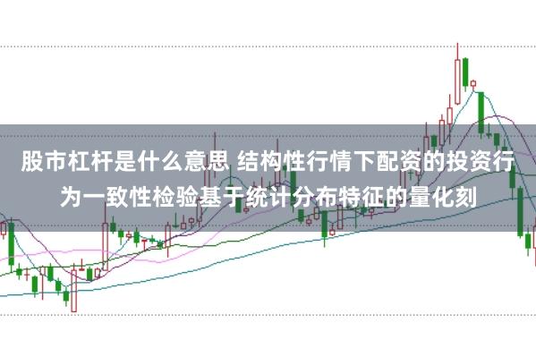 股市杠杆是什么意思 结构性行情下配资的投资行为一致性检验基于统计分布特征的量化刻