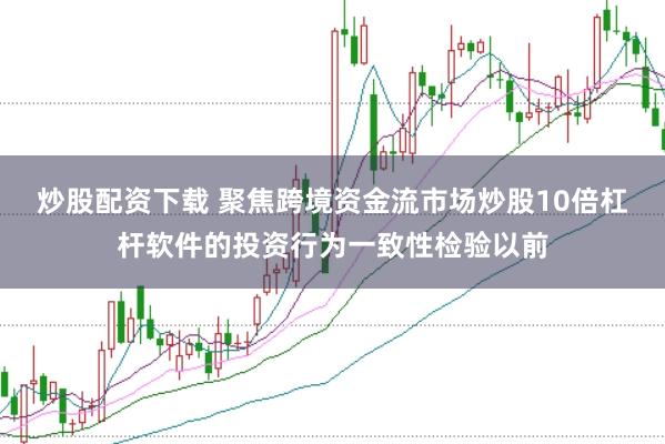 炒股配资下载 聚焦跨境资金流市场炒股10倍杠杆软件的投资行为一致性检验以前