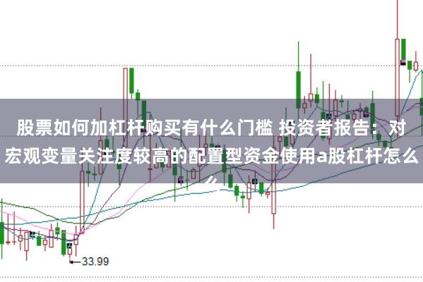 股票如何加杠杆购买有什么门槛 投资者报告:对宏观变量关注度较高的配置型资金使用a股杠杆怎么
