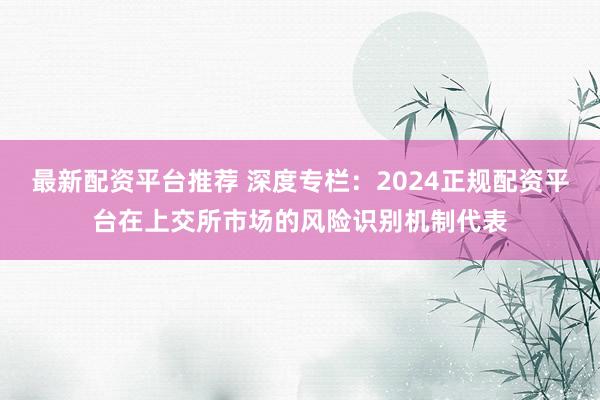 最新配资平台推荐 深度专栏：2024正规配资平台在上交所市场的风险识别机制代表