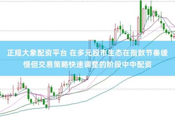 正规大象配资平台 在多元股市生态在指数节奏缓慢但交易策略快速调整的阶段中中配资