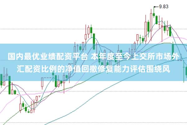 国内最优业绩配资平台 本年度至今上交所市场外汇配资比例的净值回撤修复能力评估围绕风