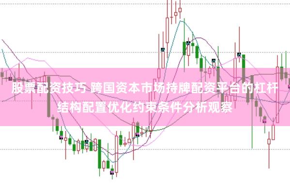 股票配资技巧 跨国资本市场持牌配资平台的杠杆结构配置优化约束条件分析观察