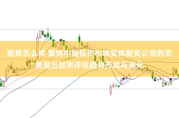 配资怎么样 聚焦中国投资市场实体配资公司的交易退出效率评估趋势形成与演化