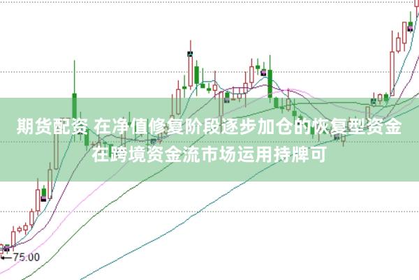 期货配资 在净值修复阶段逐步加仓的恢复型资金在跨境资金流市场运用持牌可