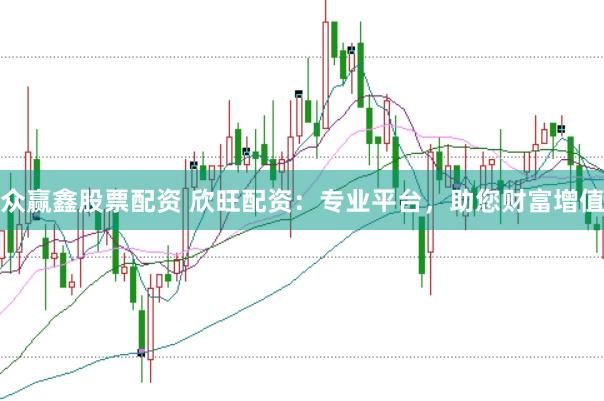 众赢鑫股票配资 欣旺配资：专业平台，助您财富增值