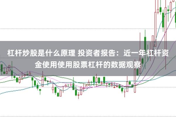 杠杆炒股是什么原理 投资者报告：近一年杠杆资金使用使用股票杠杆的数据观察