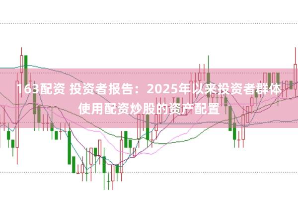 163配资 投资者报告:2025年以来投资者群体使用配资炒股的资产配置