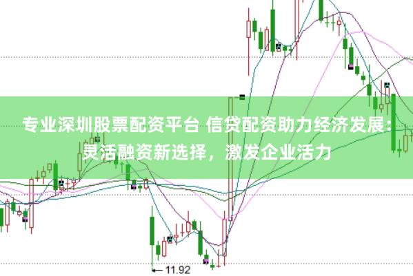 专业深圳股票配资平台 信贷配资助力经济发展：灵活融资新选择，激发企业活力