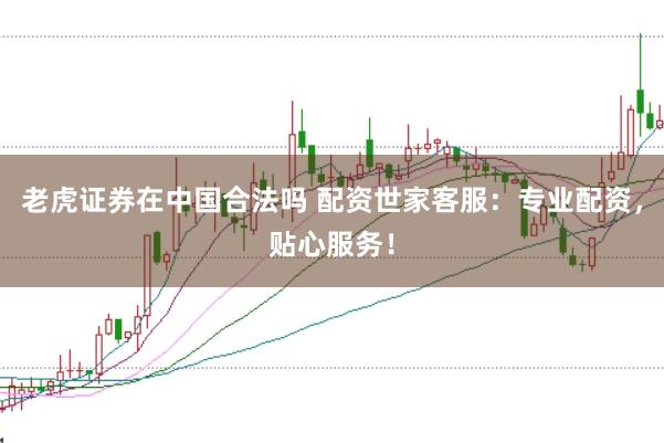老虎证券在中国合法吗 配资世家客服：专业配资，贴心服务！