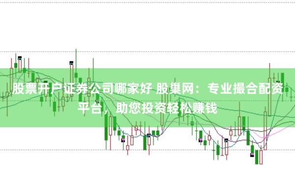 股票开户证券公司哪家好 股巢网：专业撮合配资平台，助您投资轻松赚钱