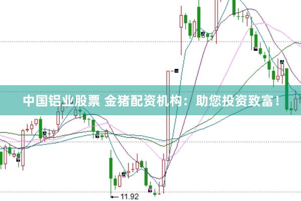 中国铝业股票 金猪配资机构：助您投资致富！