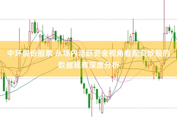 中环股份股票 从场内活跃资金视角看配资炒股的数据观察深度分析