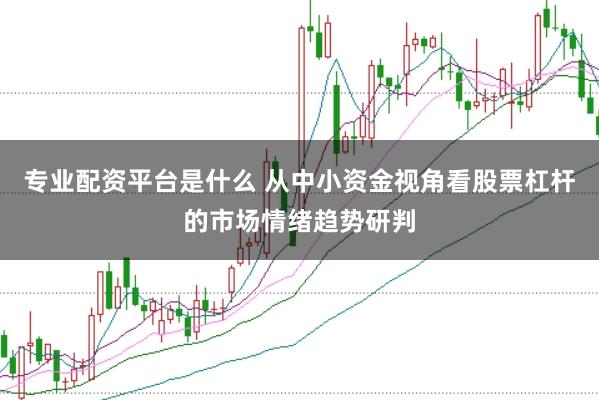 专业配资平台是什么 从中小资金视角看股票杠杆的市场情绪趋势研判