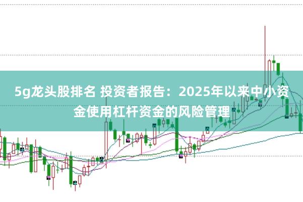 5g龙头股排名 投资者报告：2025年以来中小资金使用杠杆资金的风险管理