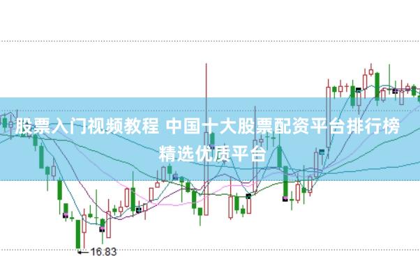 股票入门视频教程 中国十大股票配资平台排行榜  精选优质平台