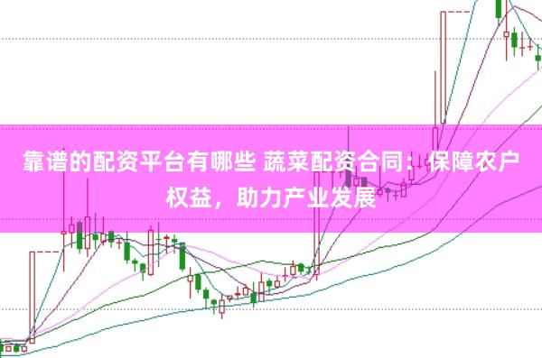 靠谱的配资平台有哪些 蔬菜配资合同：保障农户权益，助力产业发展