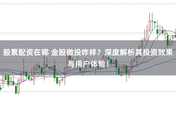 股票配资在哪 金股微投咋样？深度解析其投资效果与用户体验！
